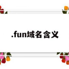 .fun域名含义(fun域名缺点)