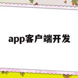 app客户端开发(app客户端开发 联网)