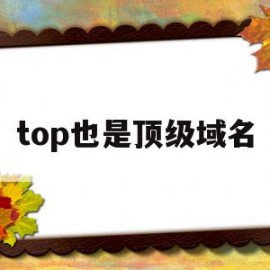 top也是顶级域名(top域名真的做不起来吗)