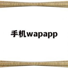 手机wapapp(手机Wapi)