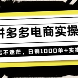 不灭《拼多多电商实操课》开店不迷茫，日销1000单+实操落地（价值299元）