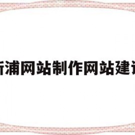 新浦网站制作网站建设的简单介绍