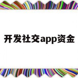 开发社交app资金(开发一个社交软件并运行要多少钱)