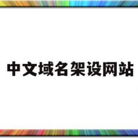 中文域名架设网站(中文域名架设网站怎么写)