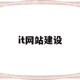 it网站建设(网站建设企业咨询)