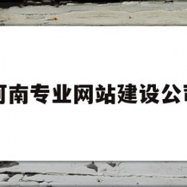 河南专业网站建设公司(河南网站建设公司哪家好)