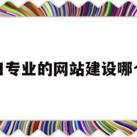 福田专业的网站建设哪个好(深圳福田网络科技有限公司有哪些)