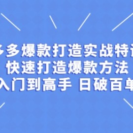 拼多多从入门到高手，爆款实战训练营日破百单