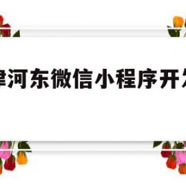 天津河东微信小程序开发公司(天津河东微信小程序开发公司怎么样)