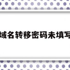 域名转移密码未填写(域名转移码怎样获得)