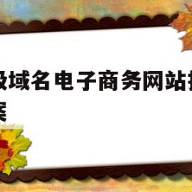 二级域名电子商务网站推广方案(二级域名电子商务网站推广方案有哪些)