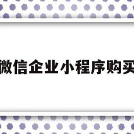 微信企业小程序购买(微信小程序企业账号购买)