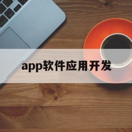 app软件应用开发(应用软件开发的一般流程)