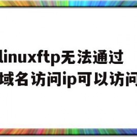 包含linuxftp无法通过域名访问ip可以访问的词条