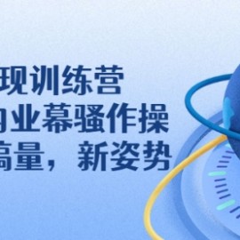 IP变现训练营：N多行内业幕骚作操，教你流搞量