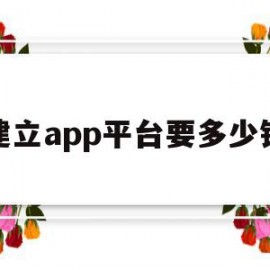 建立app平台要多少钱(创建一款app需要投资多少钱)