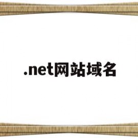 .net网站域名(net域名有哪些)