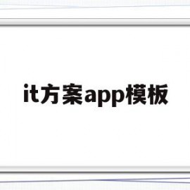 it方案app模板(it项目方案设计范文)