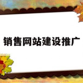 销售网站建设推广(销售网站建设推广方案)