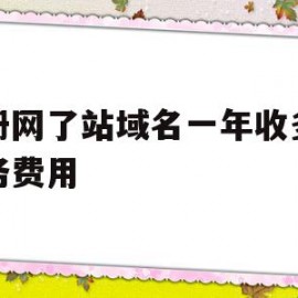 注册网了站域名一年收多少服务费用(网站域名注册多少钱)