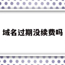 域名过期没续费吗(域名过期后不会被其他人注册?)