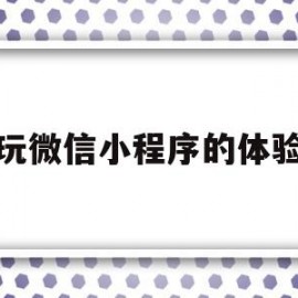 玩微信小程序的体验(玩微信小程序的体验怎么写)