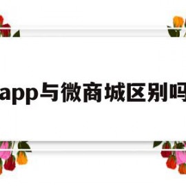 app与微商城区别吗(微商城和微信小程序区别)