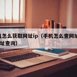 手机怎么获取网址ip（手机怎么查网址的ip地址查询）