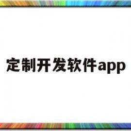 定制开发软件app(定制开发软件团队企云云)