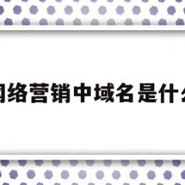 网络营销中域名是什么(域名对企业开展网络营销具有什么样的意义)