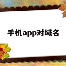 手机app对域名(手机app域名查询)