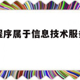 小程序属于信息技术服务业吗(小程序属于信息技术服务业吗对吗)