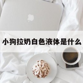 小狗拉奶白色液体是什么(小狗拉奶白色液体是什么原因)