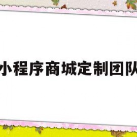 小程序商城定制团队(小程序定制开发优质商家)