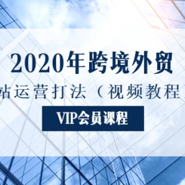 2020年跨境外贸独立站运营打法（视频教程）