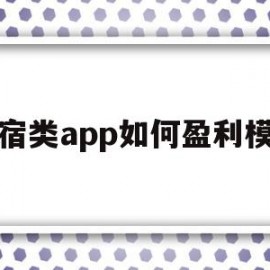 民宿类app如何盈利模式(民宿类app如何盈利模式的)