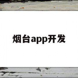 烟台app开发(烟台开发区软件公司)