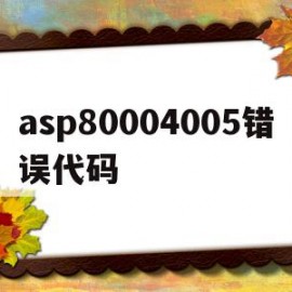 asp80004005错误代码(asp 0104 80004005错误)