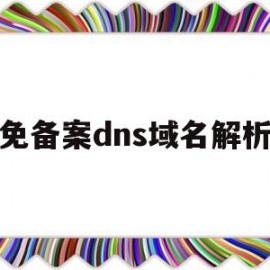 免备案dns域名解析(国内免备案域名解析)