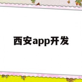 西安app开发(西安app开发制作公司)