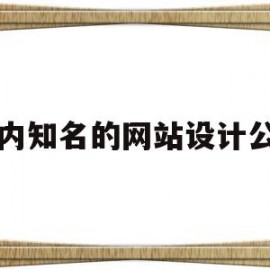 国内知名的网站设计公司(国内知名的网站设计公司排名)