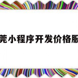 东莞小程序开发价格服务(东莞小程序开发价格服务平台)