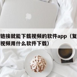 复制链接就能下载视频的软件app（复制链接的视频用什么软件下载）