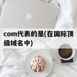 关于com代表的是(在国际顶级域名中)的信息