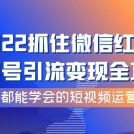 2022抓住微信红利，视频号引流变现全攻略，人人都能学会的短视频运营玩法