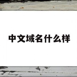 中文域名什么样(中文域名有什么用)