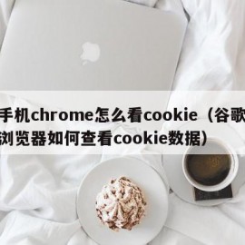 手机chrome怎么看cookie（谷歌浏览器如何查看cookie数据）