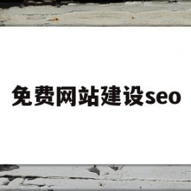 免费网站建设seo(免费网站建设一级大陆)