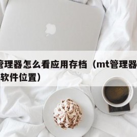 mt管理器怎么看应用存档（mt管理器怎么找到软件位置）