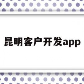 昆明客户开发app(昆明软件开发解决方案)